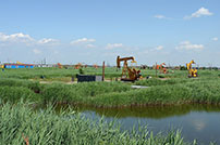 Tianjin Dagang Oilfield